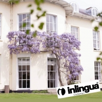 Free 2 weeks of self-isolation from Inlingua Cheltenham for students wishing to start learning English in the UK! Free 2 weeks of self-isolation from Inlingua Cheltenham for students wishing to start learning English in the UK!