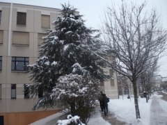 Glion Institute of Higher Education_11