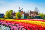 Universities in the Netherlands invite you to study!